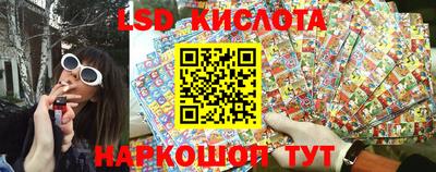 прущие грибы Изобильный