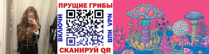 mega ссылки  Малоярославец  Галлюциногенные грибы Magic Shrooms 