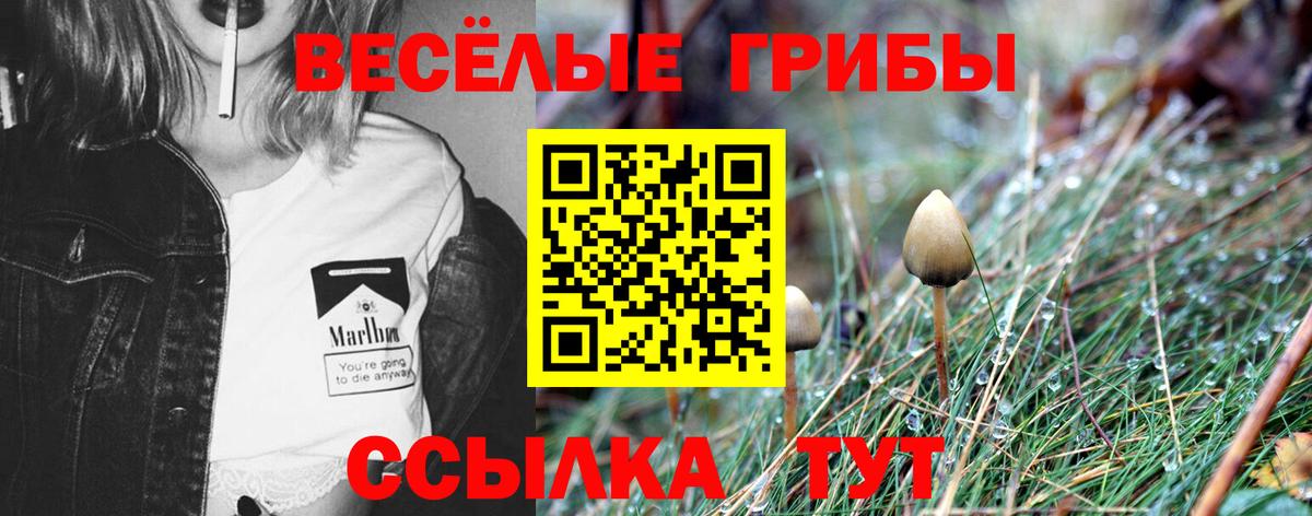 Галлюциногенные грибы мухоморы Малоярославец