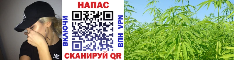 Канабис THC 21% Малоярославец